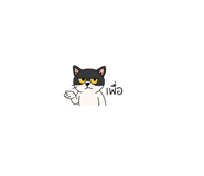 777874420