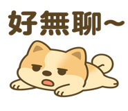 777886558