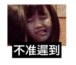 77803516
