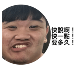 77803522