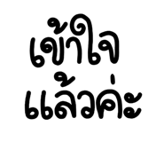778172646