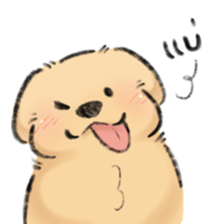 ลายที่ 5