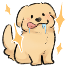 ลายที่ 11