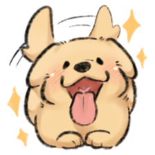 ลายที่ 13