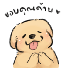 โกลเด้นเด็ก รูปที่ 9