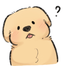 ลายที่ 19