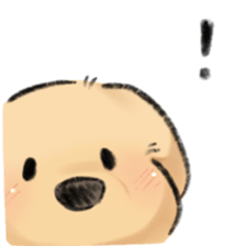 ลายที่ 21