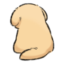 ลายที่ 31