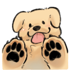 ลายที่ 35