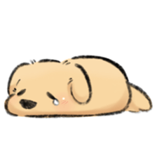 ลายที่ 41