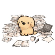 ลายที่ 43