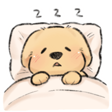 โกลเด้นเด็ก รูปที่ 23