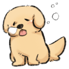 ลายที่ 47