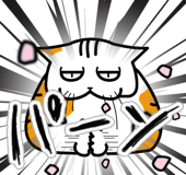 778323881