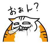 778323885