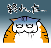 778323893