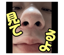 778356034
