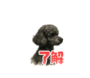 778357155