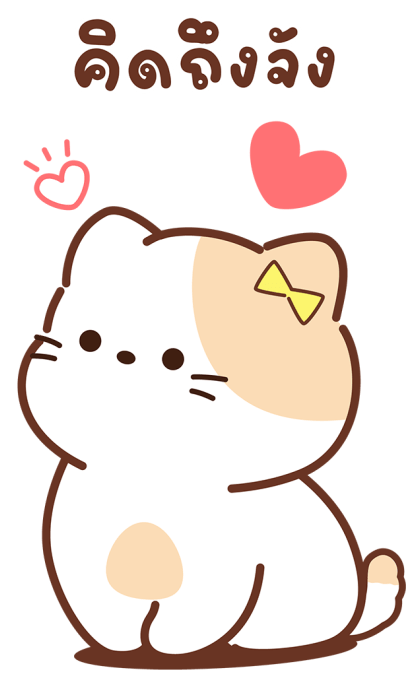 ลายที่ 11