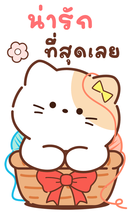 ลายที่ 13