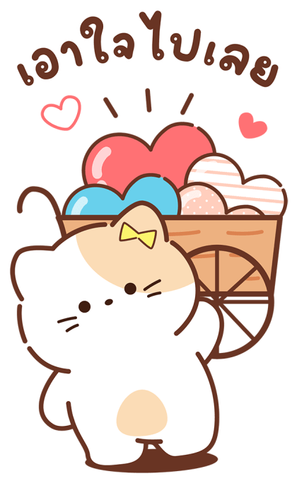 ลายที่ 31