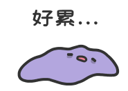 778527251