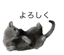778618706