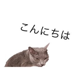 778618708