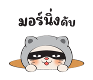 778623146