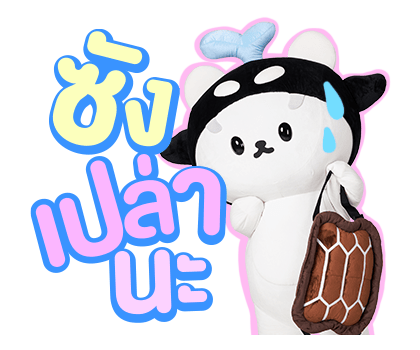 ลายที่ 13