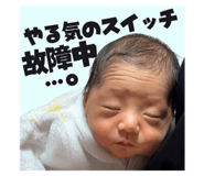 778641288