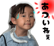 778737113