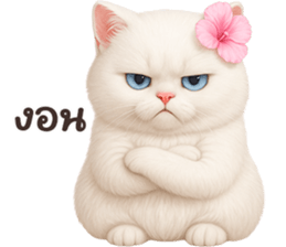 ลายที่ 3