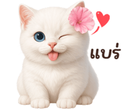 ลายที่ 15