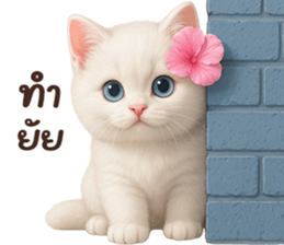 ลายที่ 17