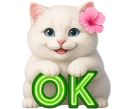 ลายที่ 21