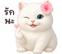 ลายที่ 25