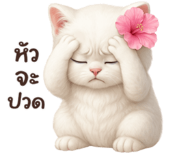 ลายที่ 31