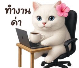 ลายที่ 33