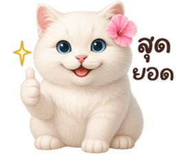 ลายที่ 35