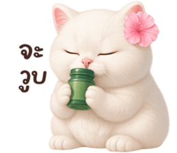 ลายที่ 37