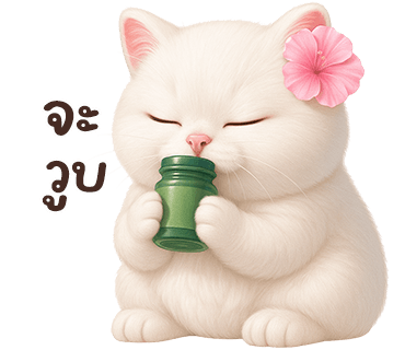 ลายที่ 19