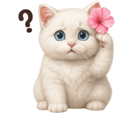 ลายที่ 41