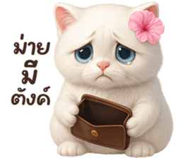 ลายที่ 45