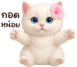 ลายที่ 47