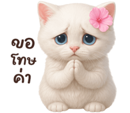 ลายที่ 51