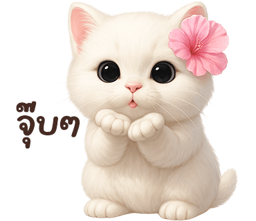 ลายที่ 28