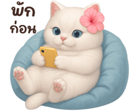 ลายที่ 59