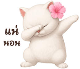 ลายที่ 63