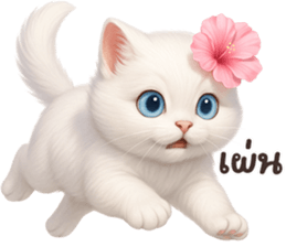 ลายที่ 67